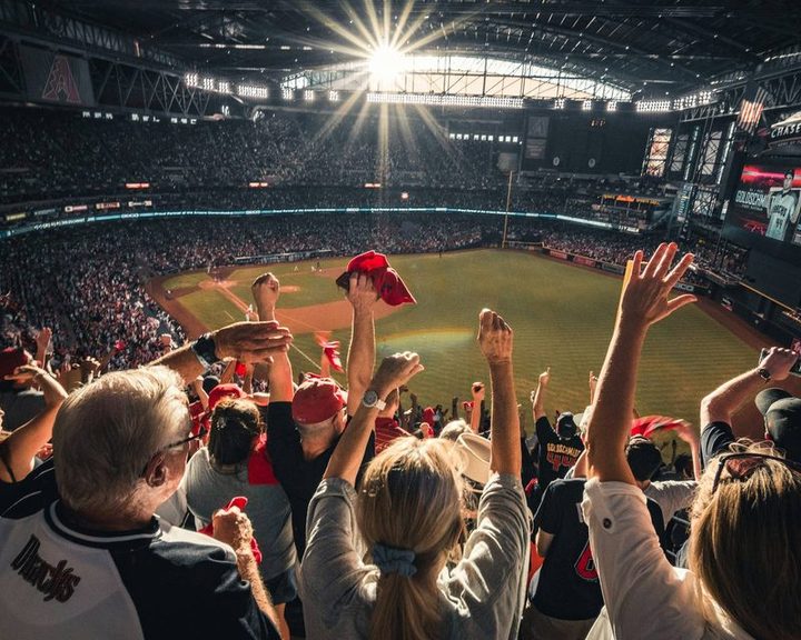 凤凰彩票娱乐APP · 团队